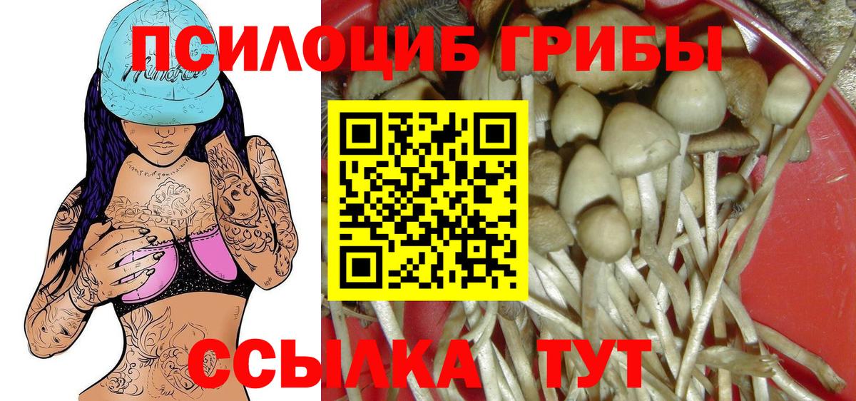 Галлюциногенные грибы MAGIC MUSHROOMS Элиста